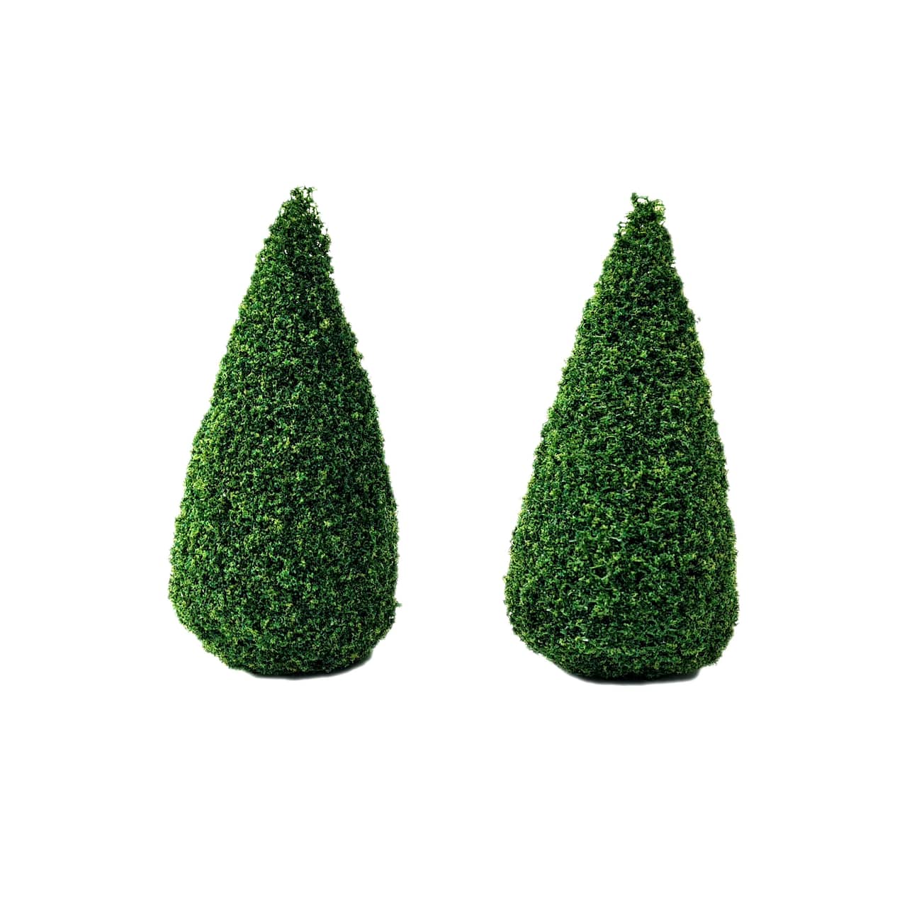 Miniature Boxwood Shrubs, 2ct. by Make Market®